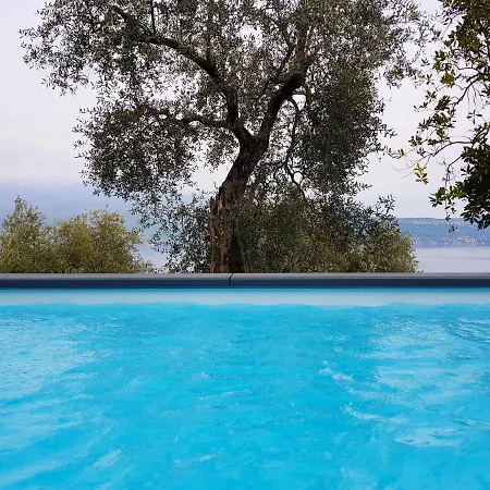 Nell Uliveto Frantoio * Pulciano